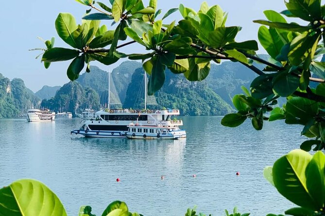 LUXURY DAY CRUISES With 07 Hours Visit Halong Bay & Buffet Lunch - Good To Know