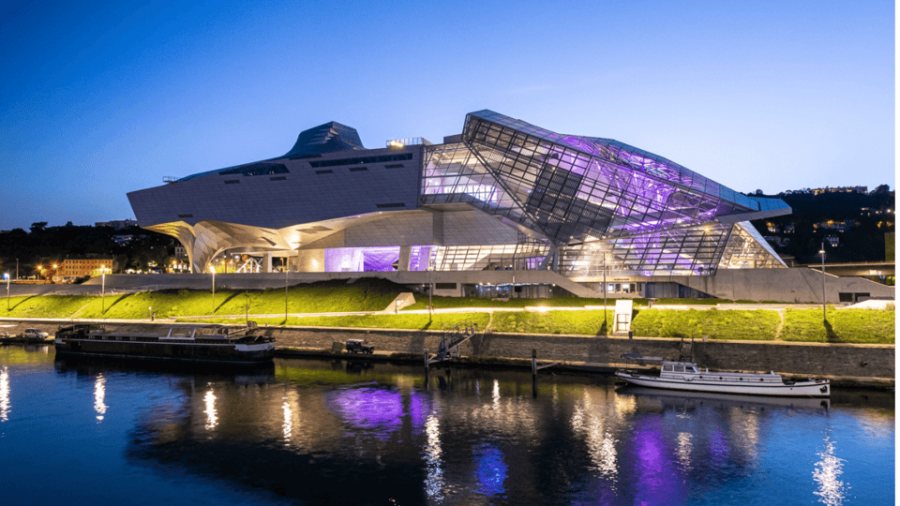 Lyon: Private Transfer and Sightseeing Tour - Tour Overview