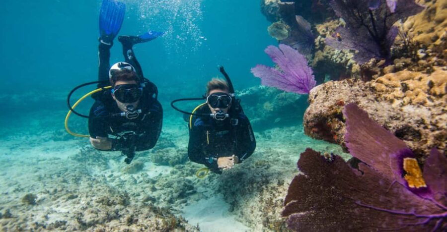 Marmaris: Scuba Diving Experience - Overview of the Experience