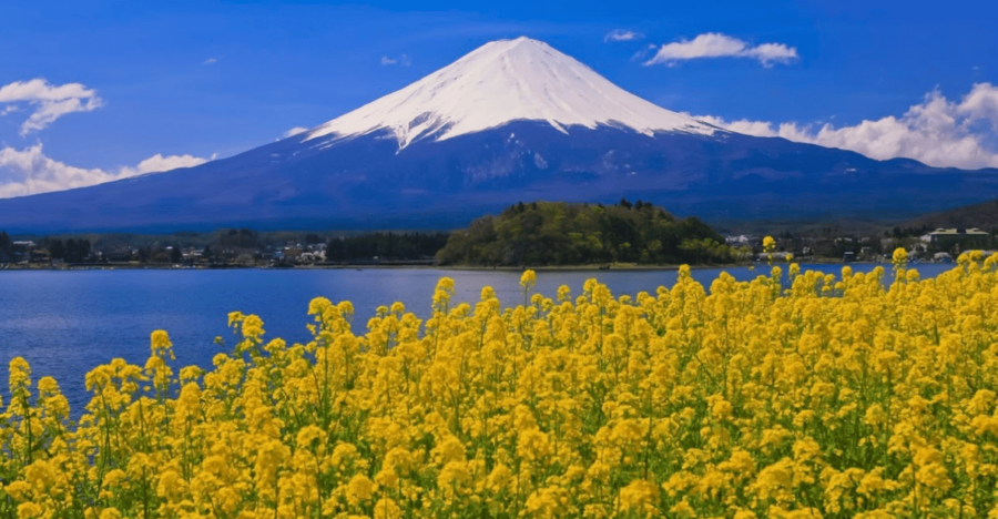 Mount Fuji Full Day Private Tour With Pick-Up and Drop off