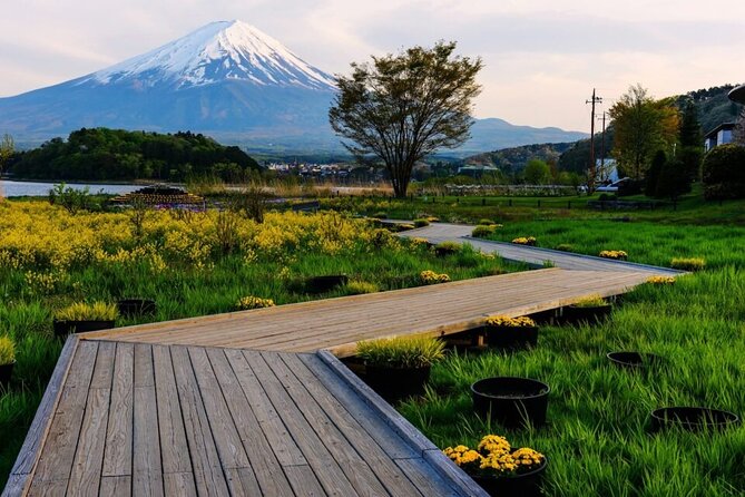 Mount Fuji One Day Tour From Tokyo Japan - Good To Know