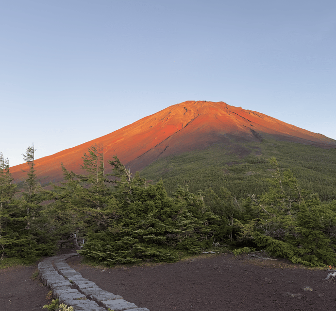 Mount Fuji Tour From Tokyo With English Speaking Guide