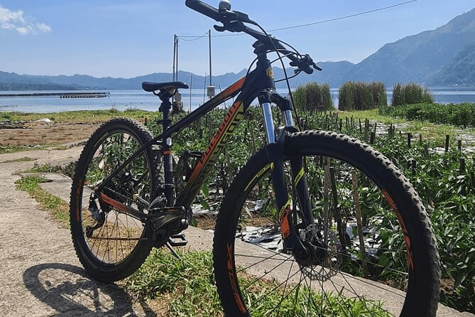 Mountain Bicycle Rental at Mount Batur - Meeting Point