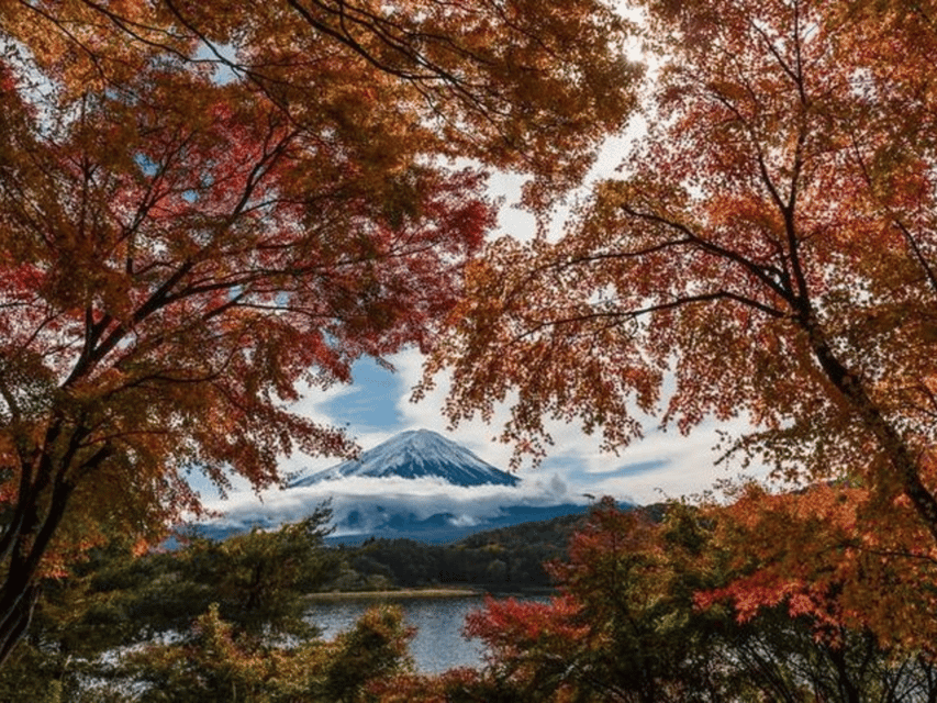 Mt Fuji : Unforgettable Tour With English Tour Guide - Tour Overview and Pricing