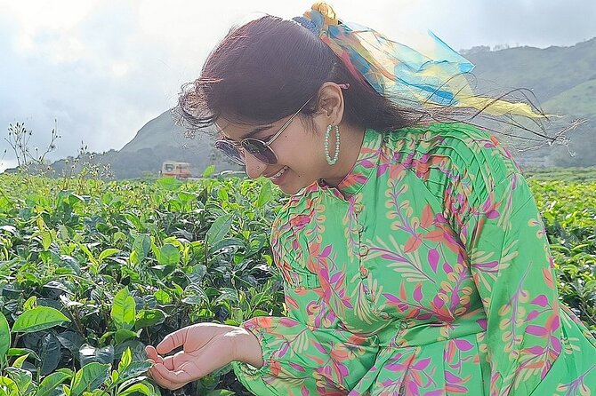 Munnar 2 Nights Solo Tour Package - Good To Know