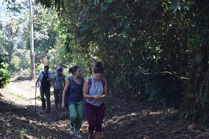 Munnar Trekking (Amazing Munnar Adventure Tours) - Good To Know