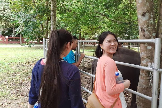 National Elephant Conservation Centre With Batu Caves Visit (Private) - Good To Know