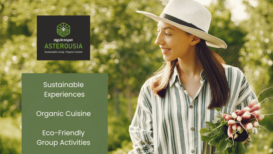 Native Vegetables Farm Tour & Organic Meal - Tour Overview and Pricing