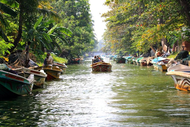 Negombo Lagoon, Dutch Canal and Muthurajawela Wetland Tour - Tour Highlights