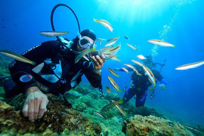 Nha Trang Diving Tour at Coral Bay - Good To Know