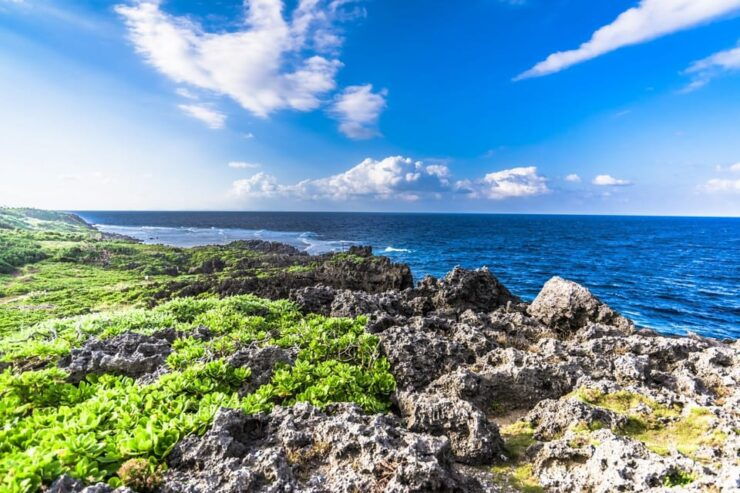 Northern Okinawa National Park Enjoyment Course【C-course】 - Good To Know
