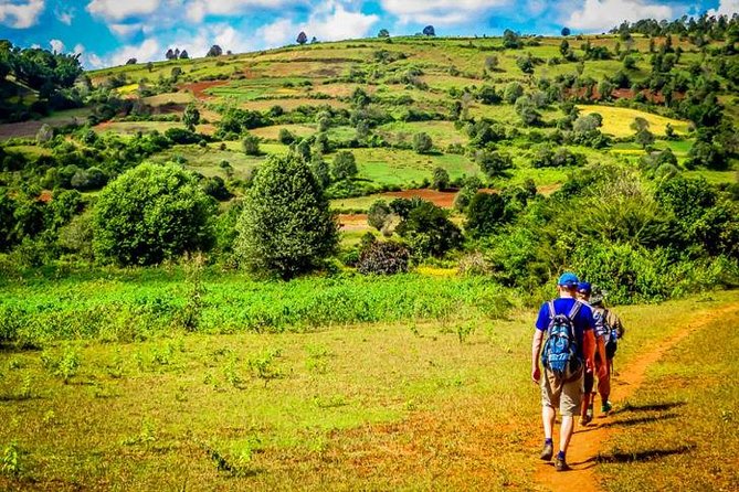 Nyaung Shwe Half Day Trekking