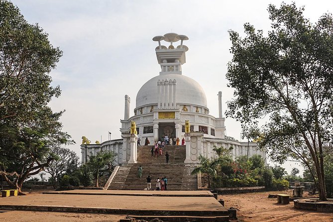 Om Leisure Full-Day Tour of Temple City Bhubaneswar in Odisha - Good To Know