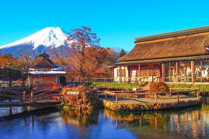 One-Day Tour Around Mount Fuji Departure From Tokyo - Good To Know