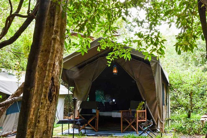 One Night Camping at Wasgamuwa National Park - Good To Know