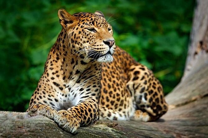 One Night Camping in Wilpattu National Park. - Good To Know
