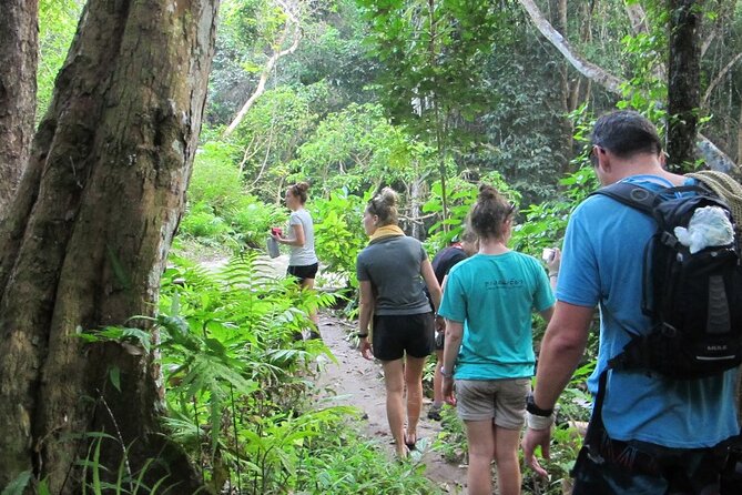 Overnight Mae Taeng Highlands Trek From Chiang Mai - Good To Know