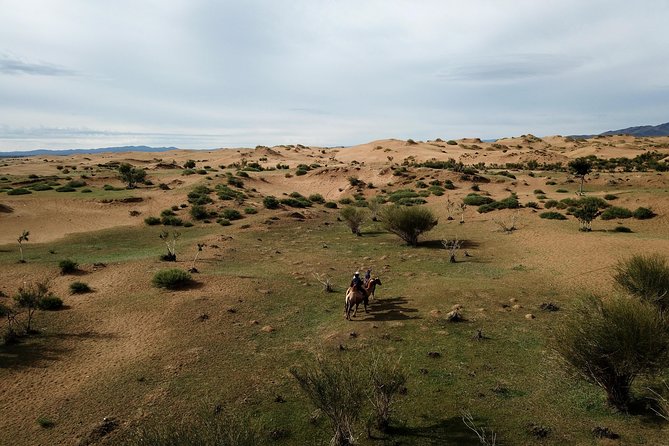 Overnight Semi-Gobi, Khustai National Park - Good To Know