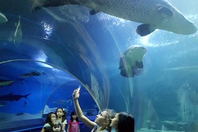PATTAYA: Join Tour Under Water World Pattaya - Good To Know
