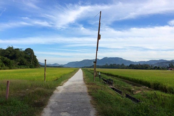 Penang Balik Pulau Countryside Morning Cycling Tour - Good To Know