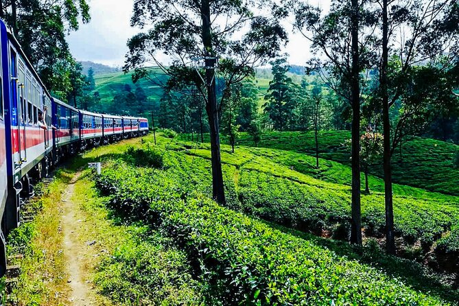 Peradeniya to Ella Train Ride on (Train No: 1001 Denuwara Menike) - Tour Details