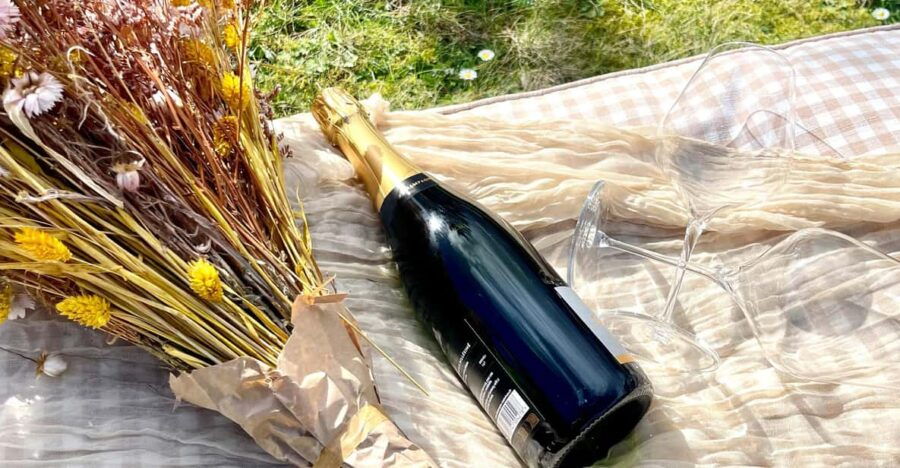 Picnic and Champagne Tasting in the Vineyards - Overview of the Experience