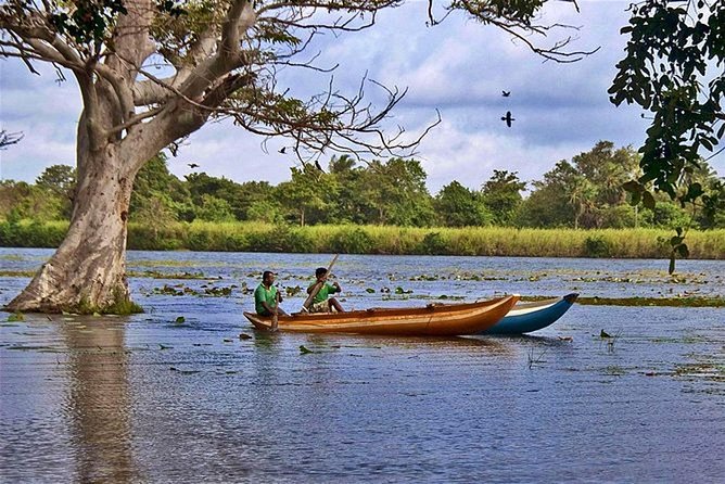 Pidurangala & Hiriwaduna Village Tour From Colombo