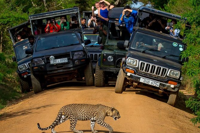 Private 02 Day Leopard Safari in Yala From Colombo - Good To Know