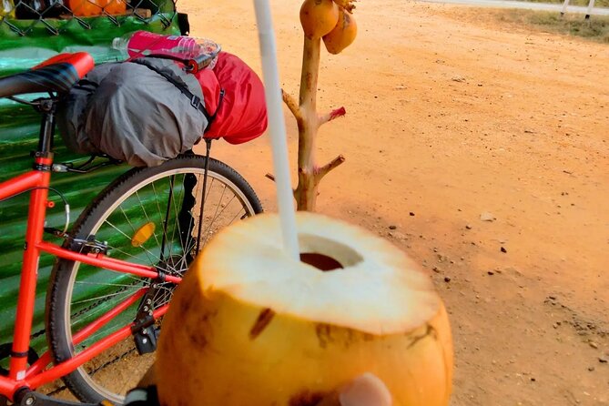 Private Bicycle Tour in Colombo - Good To Know