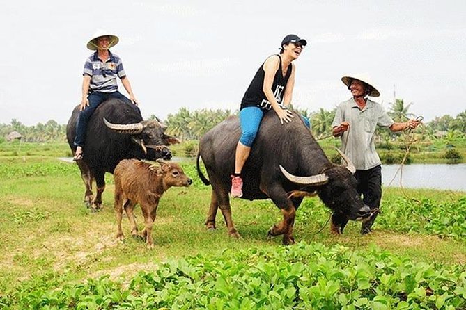Private Countryside With Buffalo Cart Tour - Half Day - Good To Know