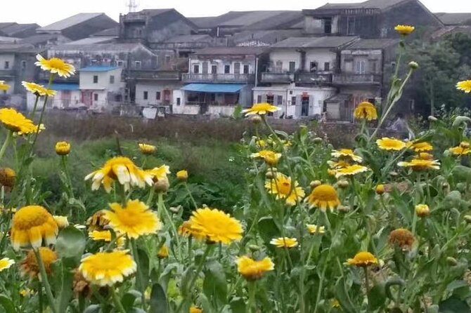 Private Day Tour to Meijia Countyard & Taishan From Guangzhou - Good To Know