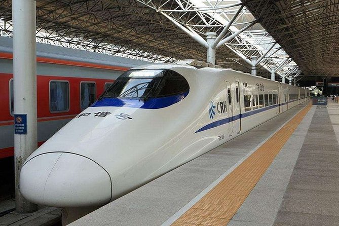 Private Departure Transfer:Shenzhen City Hotel to Any Shenzhen Railway Station