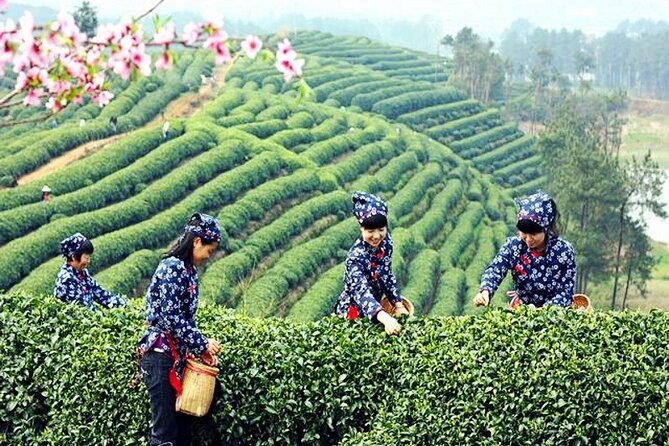 Private Flexible Hangzhou Layover Tour in Your Way - Tour Details
