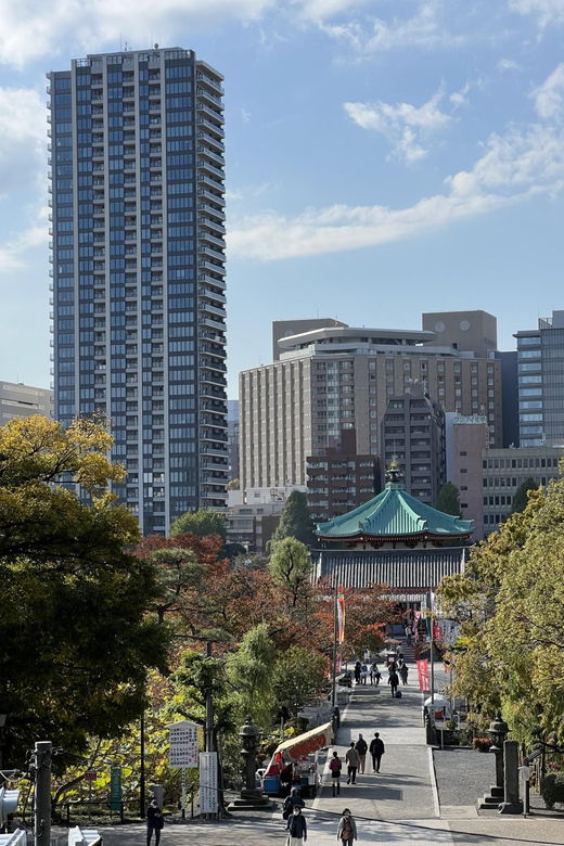 Private French Speaking Guide in Tokyo - Thematic Tour Options