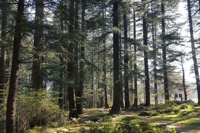 Private Full Day Manali City Tour - Good To Know