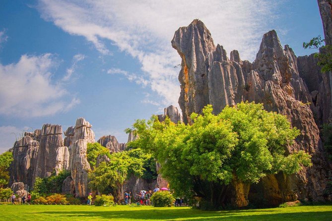 Private Full-Day Tour From Kunming: Stone Forest and Golden Temple - Good To Know