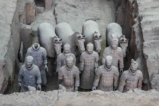 Private Half Day Tour to Terra Cotta Warriors Museum From Xian - Tour Details