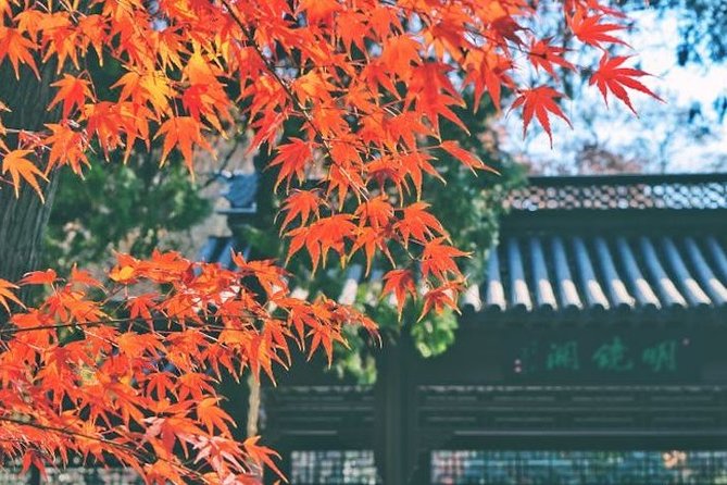 Private Nanjing Layover Tour to Qixia Mountain