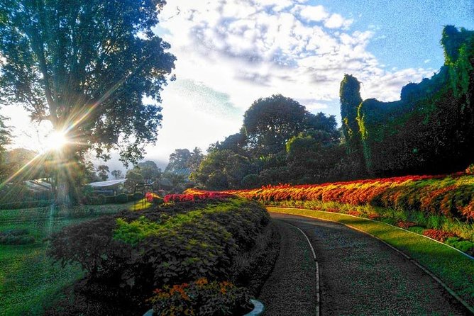 Private One-Day Tour to Kandy From Colombo or Negombo