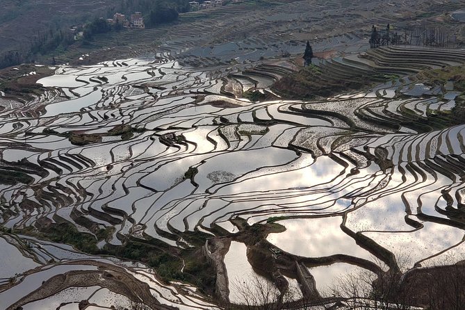 Private Overnight Tour to Yuanyang Rice Terraces From Kunming - Good To Know