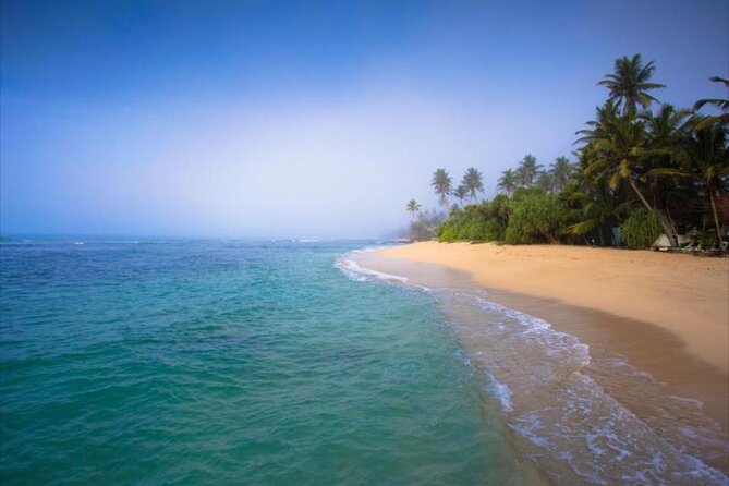 Private Taxi From Sri Lanka Airport (Bia-Cmb) to Matara Hotels - Good To Know