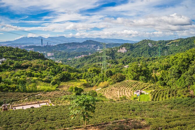 Private Tour Maokong Tea & Shenkeng Stinky Tofu From Taipei - Tour Inclusions