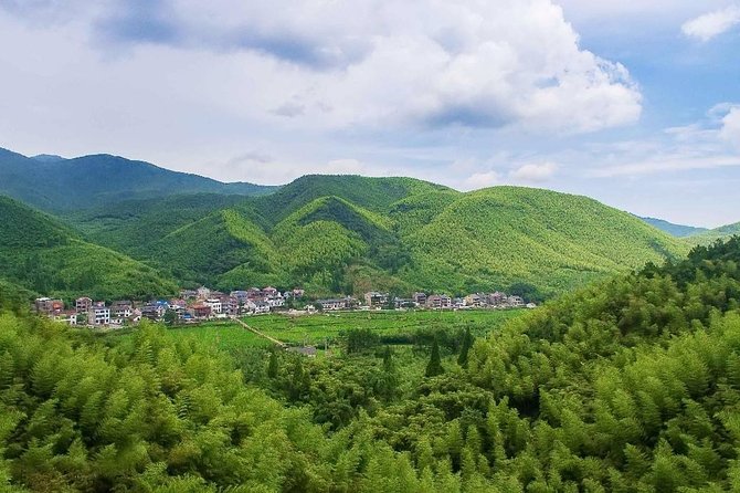Private Transfer Between Hangzhou City and Mogan Mountain - Service Details