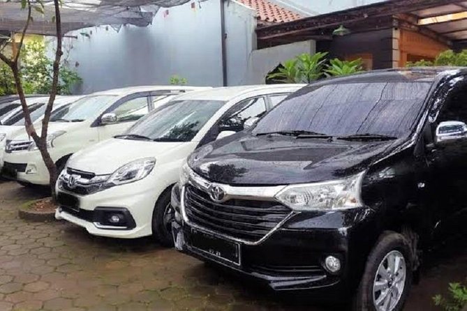 Private Transfer From Denpasar Bali (Dps) Airport to City Centre - Good To Know