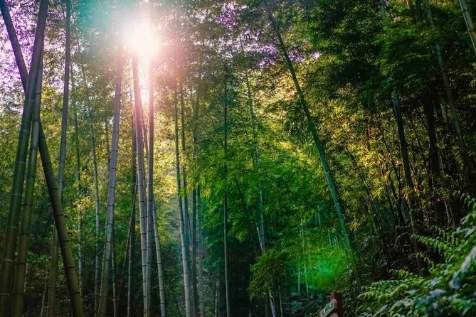 Private Two-Day Shunan Bamboo Forest With Farmhouse Stay - Good To Know