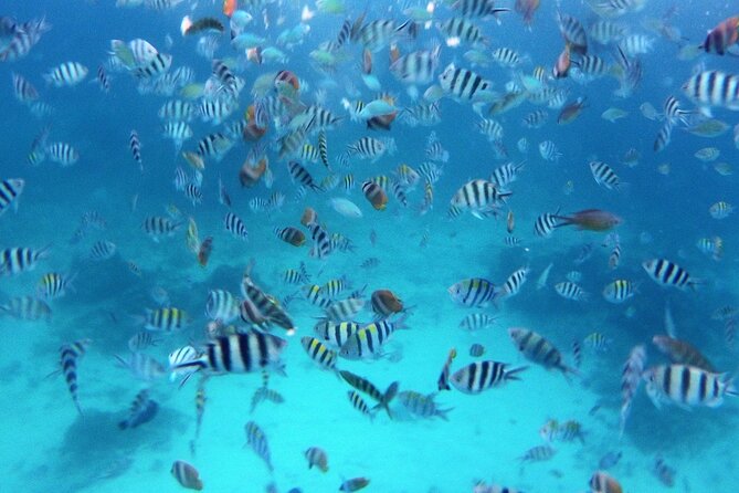 Private Undiscovered 3 Gili Islands Tour - Good To Know