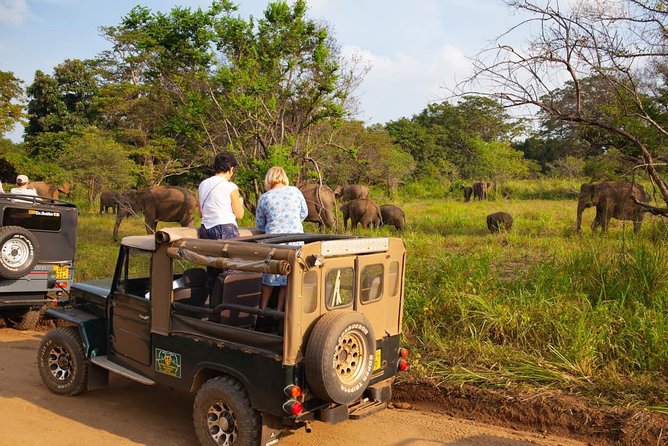 Private Wildlife Safari to Hurulu Eco Park - Good To Know