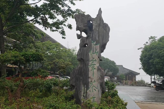 Qixianfeng Tea Plantation Tour in Yangshuo - Good To Know