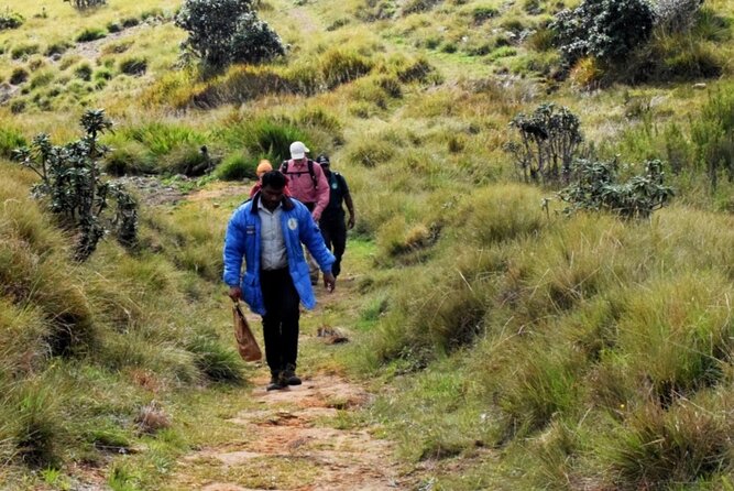 Railroad Hike to Horton Plains Borders - Good To Know