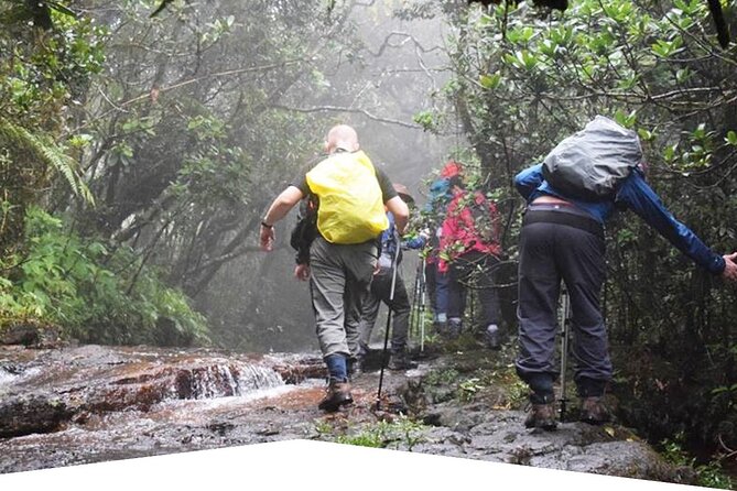 Rainforest Explorer From Bentota (2 Days) - Tour Package Inclusions